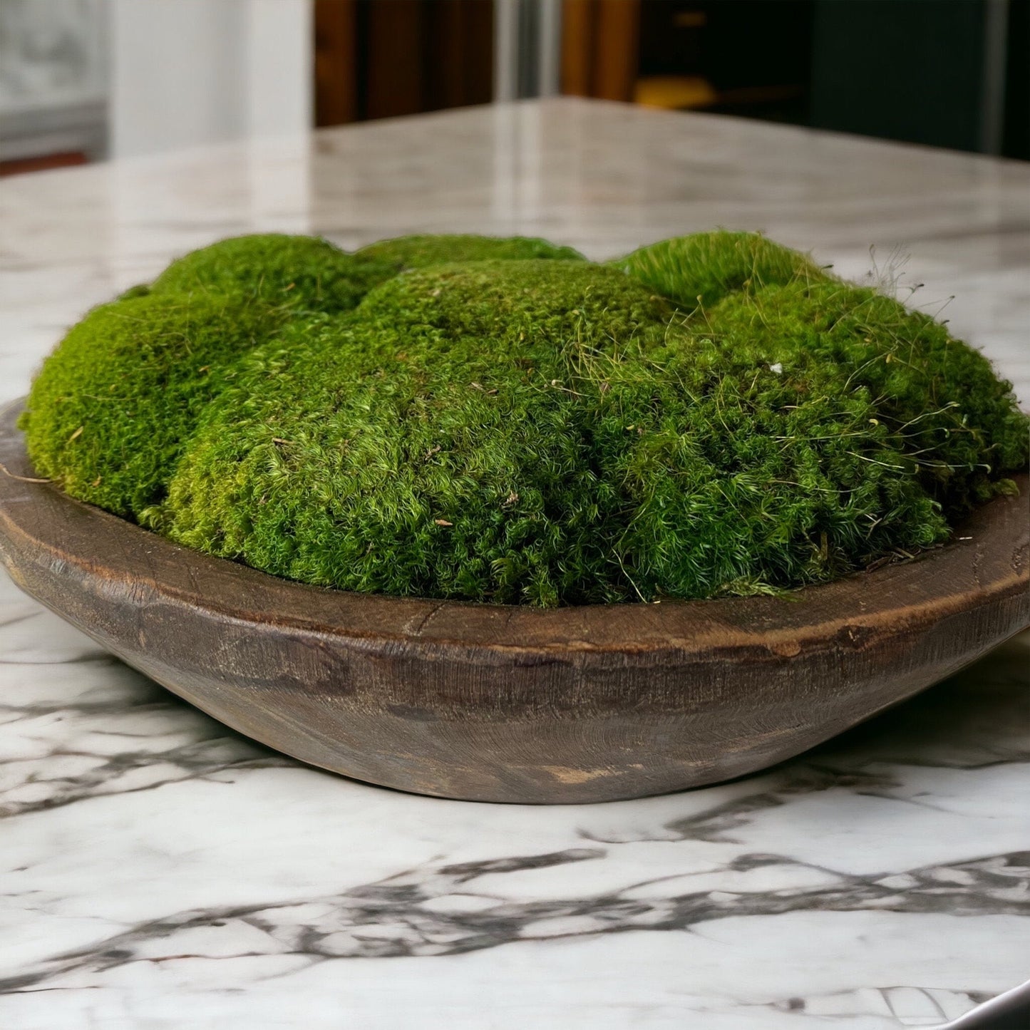 12" Round Rustic Wood Moss Bowl