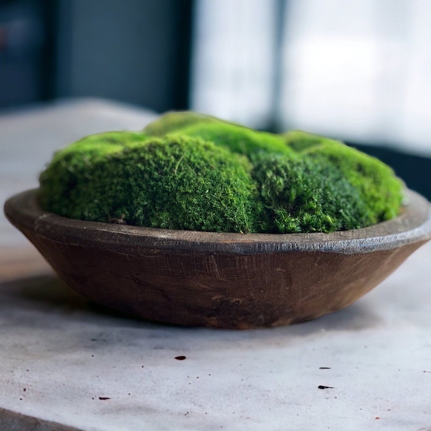 12" Round Rustic Wood Moss Bowl