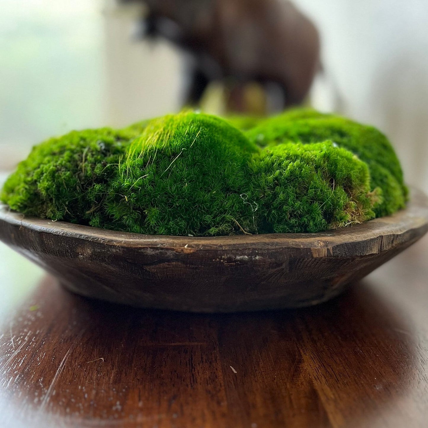 12" Round Rustic Wood Moss Bowl