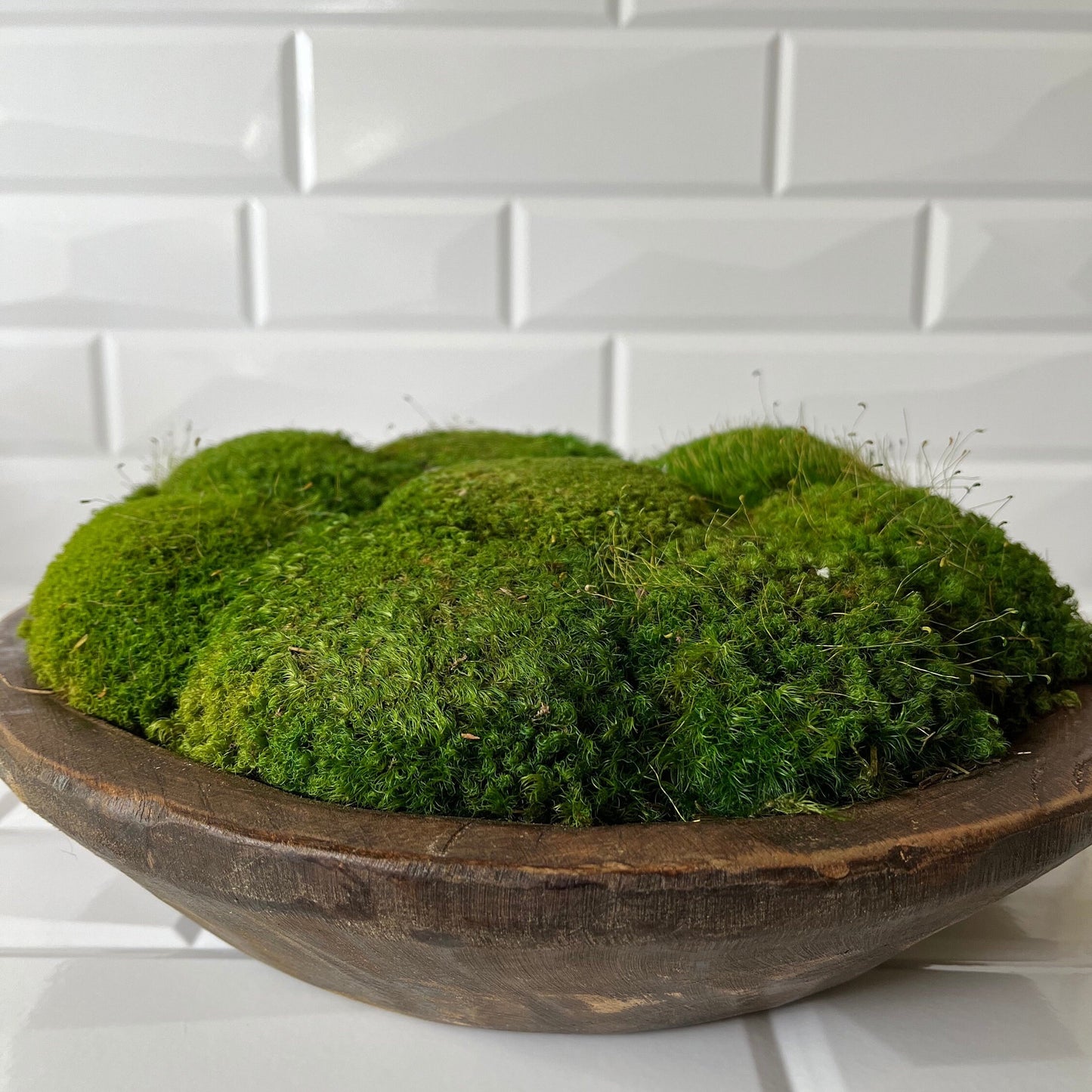 12" Round Rustic Wood Moss Bowl