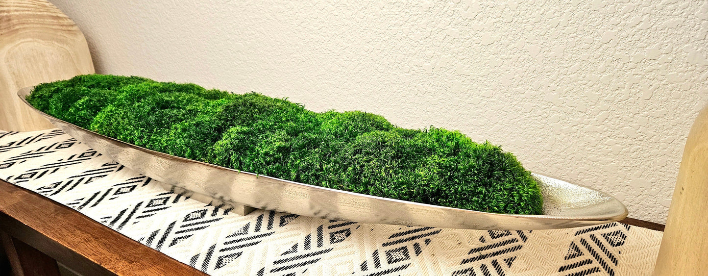 52" Extra Long Preserved Moss Metal Boat Bowl