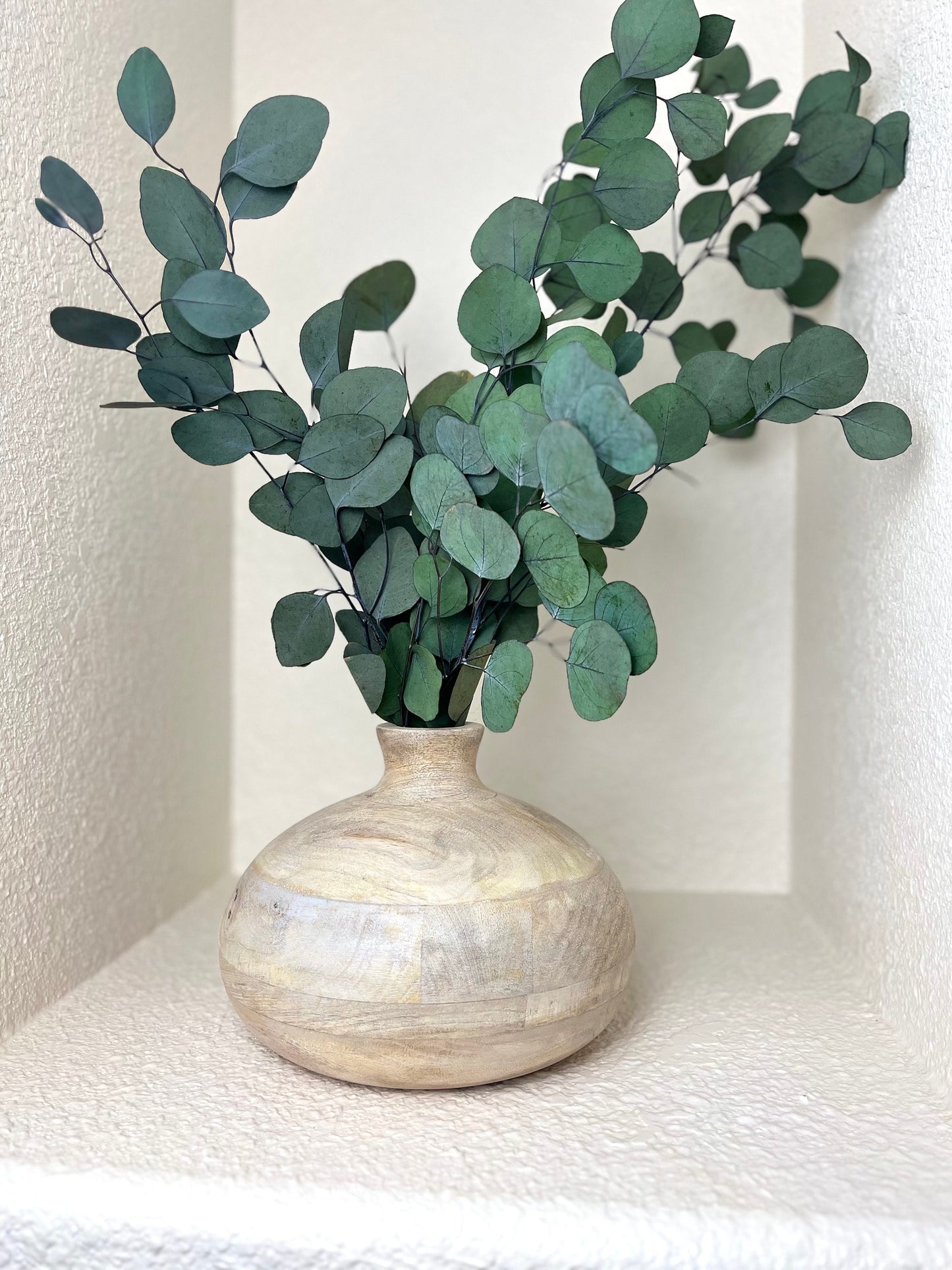 Preserved Dried Eucalyptus Leaves