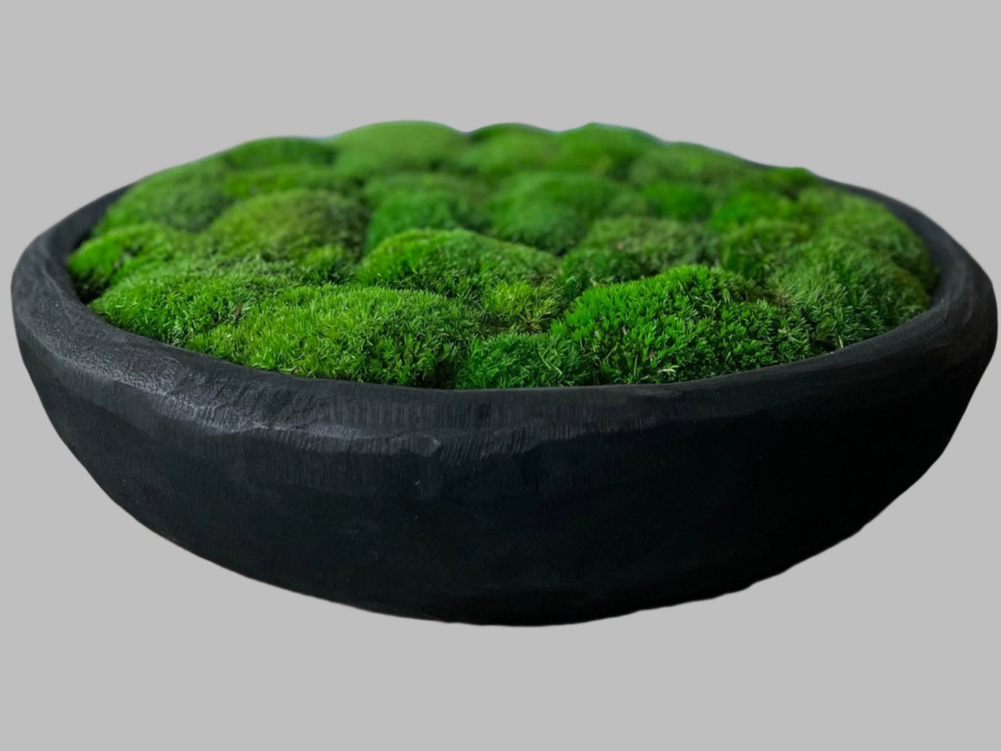 20" Round Paulownia Wood Bowl with Preserved moss