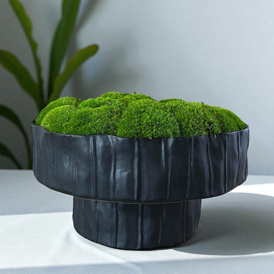 Black ceramic pedestal planter filled with preserved green moss