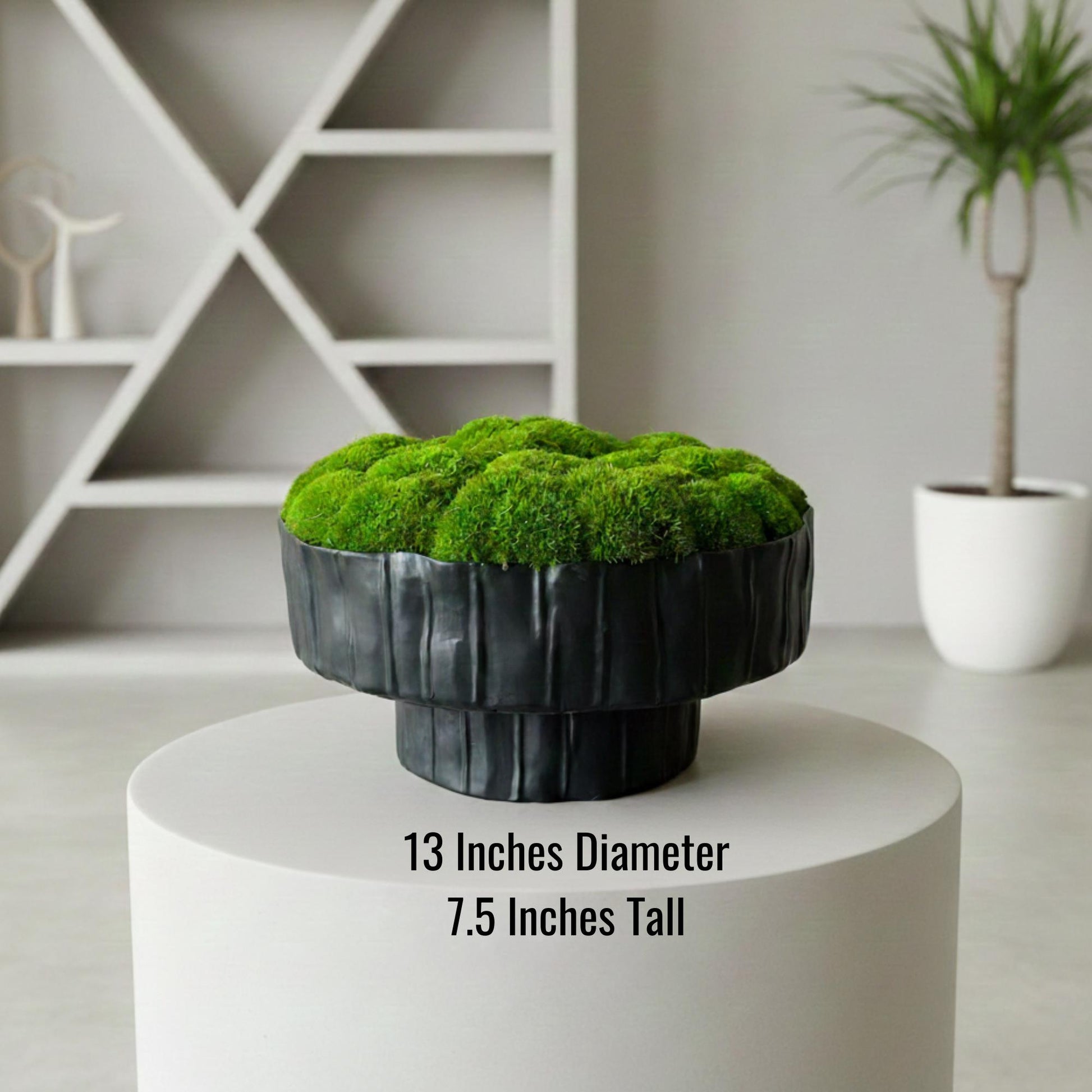 Preserved pole moss in a black ceramic planter