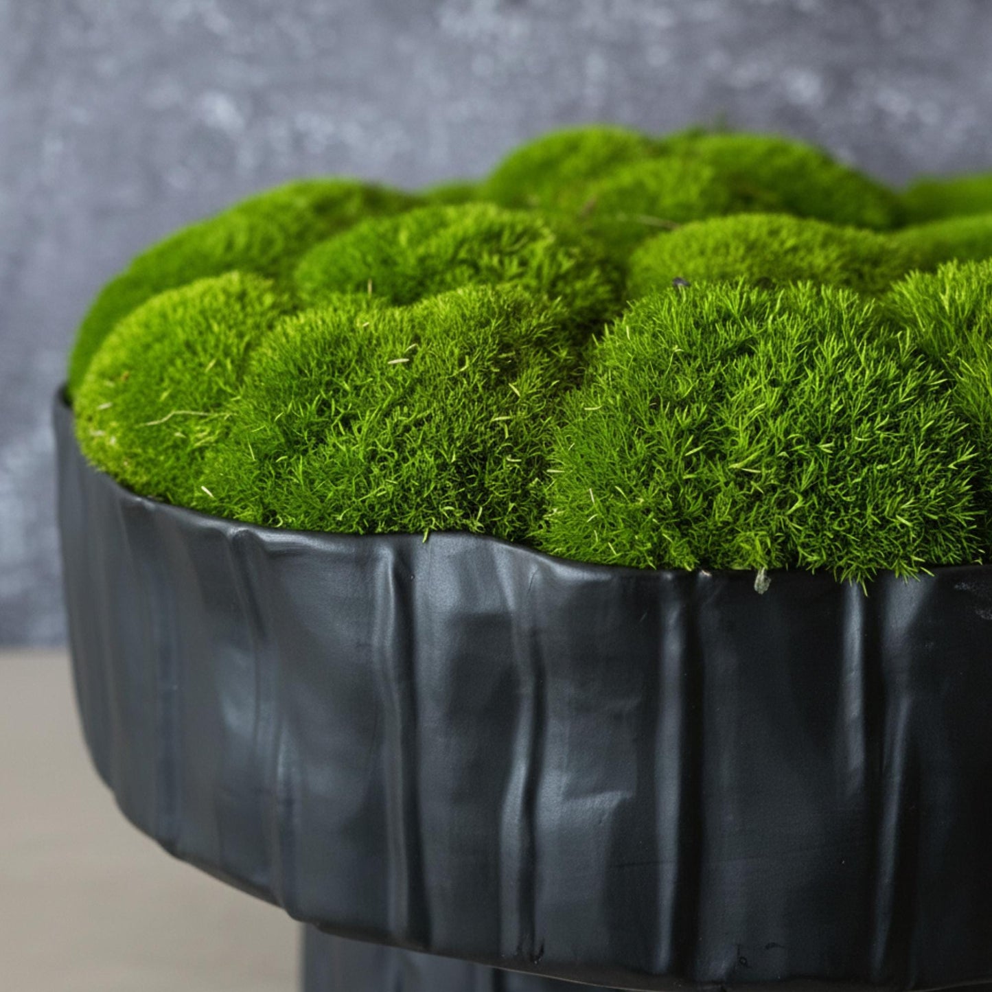 Textured matte black ceramic moss planter, modern design