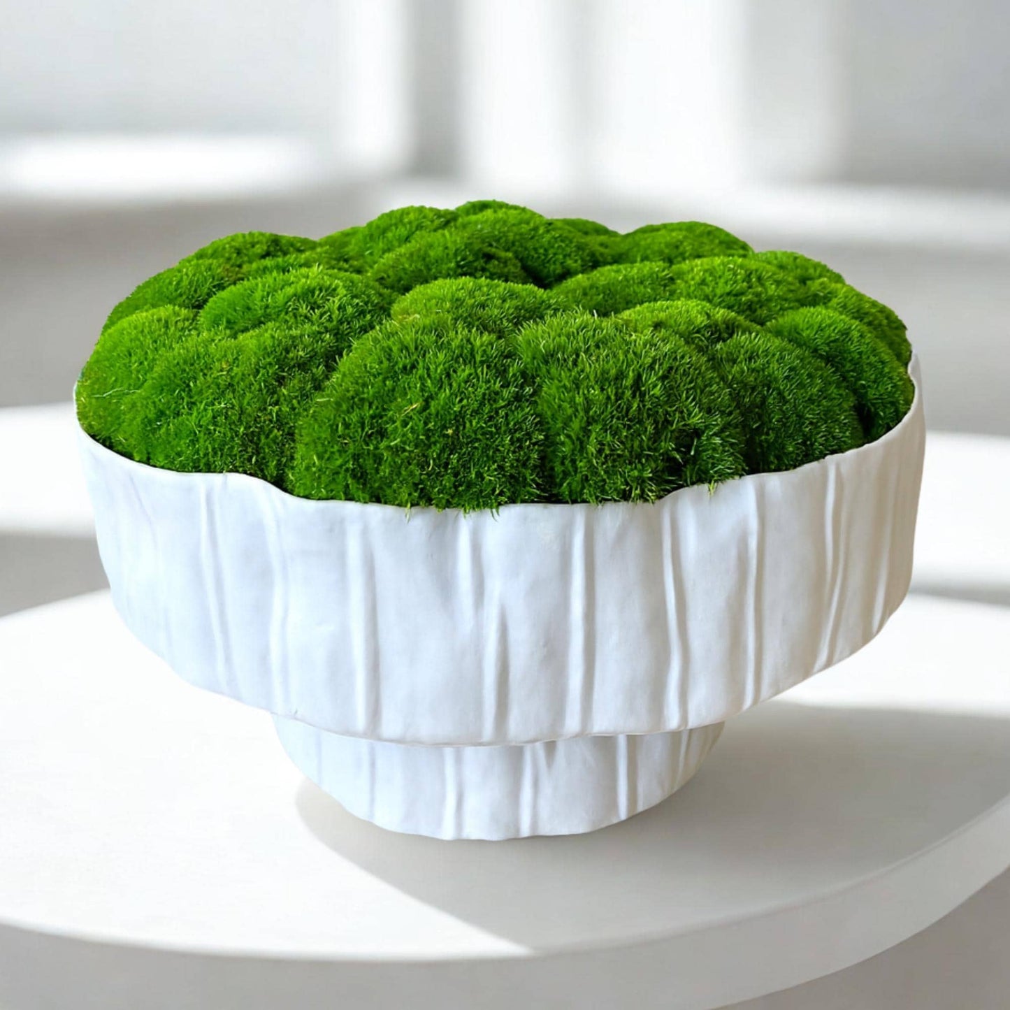 White ceramic pedestal planter filled with preserved green moss