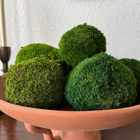 Preserved Moss Ball