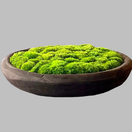 20" Large Circular Moss Bowl