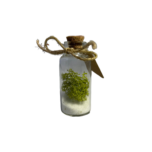 3" Glass Bottle Preserved Moss Party Favor