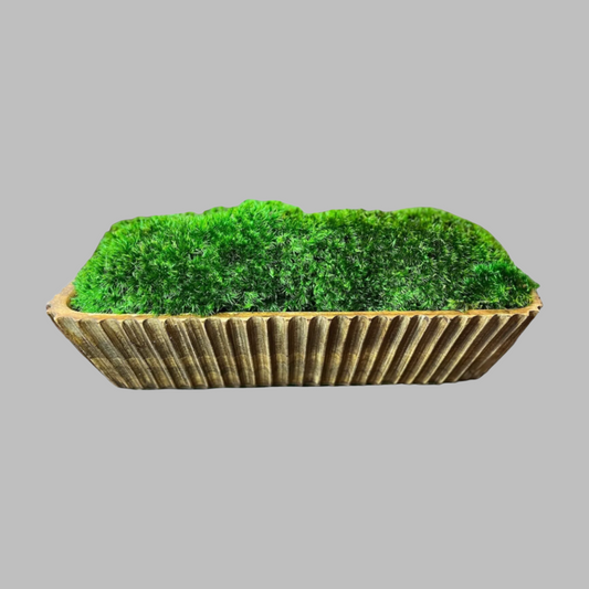 15" Hand Carved Wood Moss Bowl