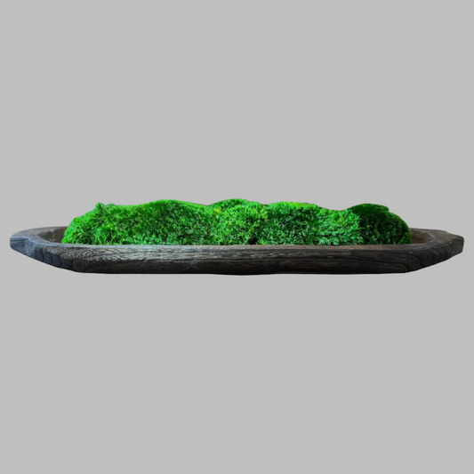 28" Moss Paulownia Wood Dough Bowl