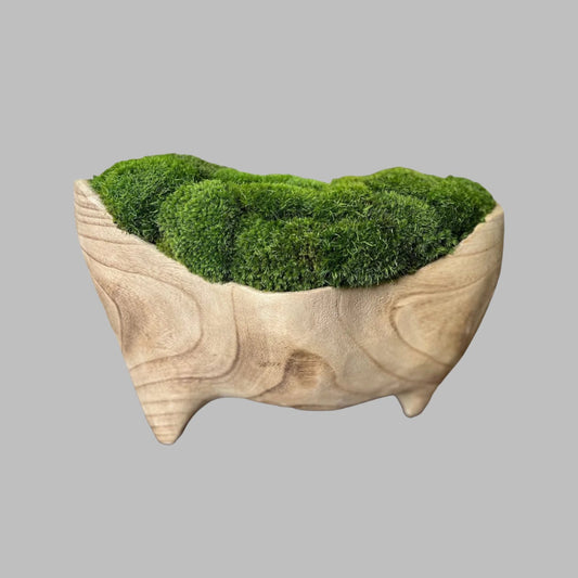 Unique Moss Paulownia Natural Wood Bowl