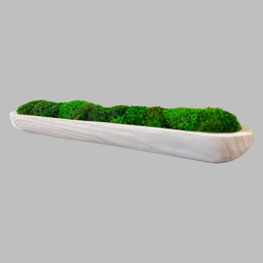 30" Preserved Moss Paulownia Wood Dough Bowl