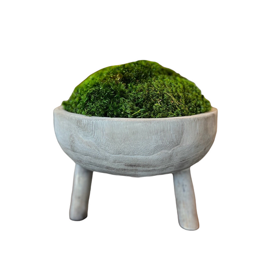 11x6" Tall Gray Pedestal Moss Bowl w/ Legs