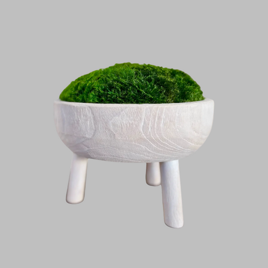 11x6" Tall White Pedestal Moss Bowl w/ Legs