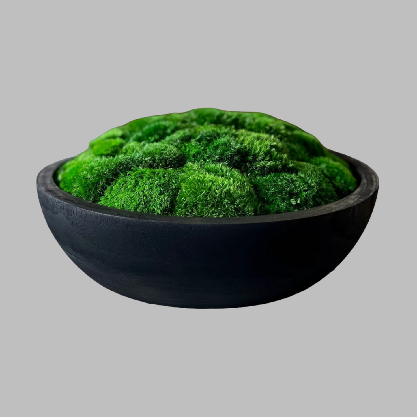 15.5" Extra Large Round Moss Bowl