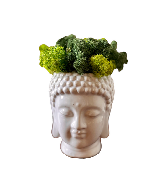 Buddha Head Planter w/ Moss