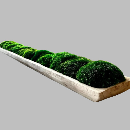 40" Extra Long Rectangle Paulownia Moss Bowl