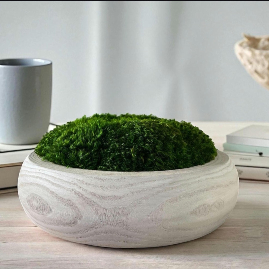 Moss Centerpiece Bowl – 12" Round Preserved Natural Rustic Table Decoration