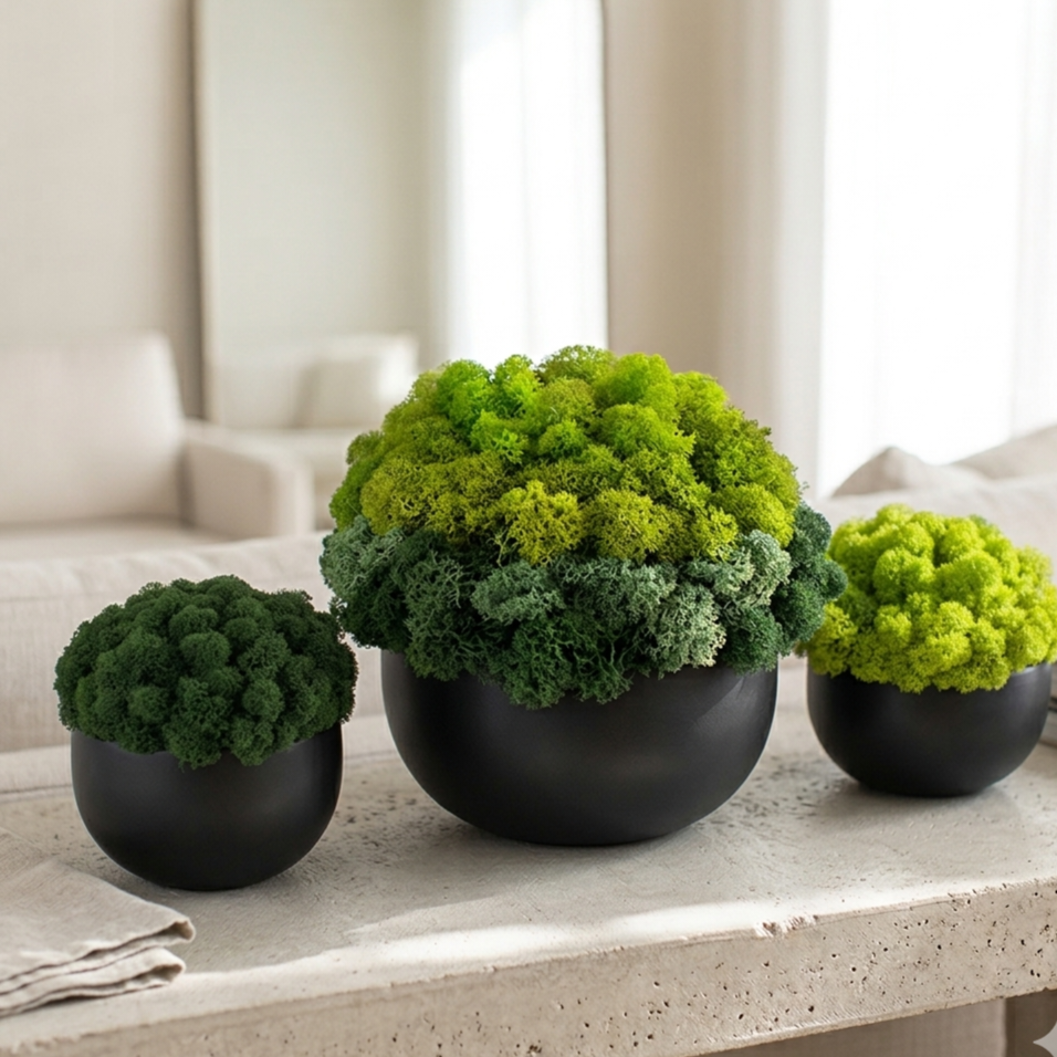 Ceramic Moss Bowl