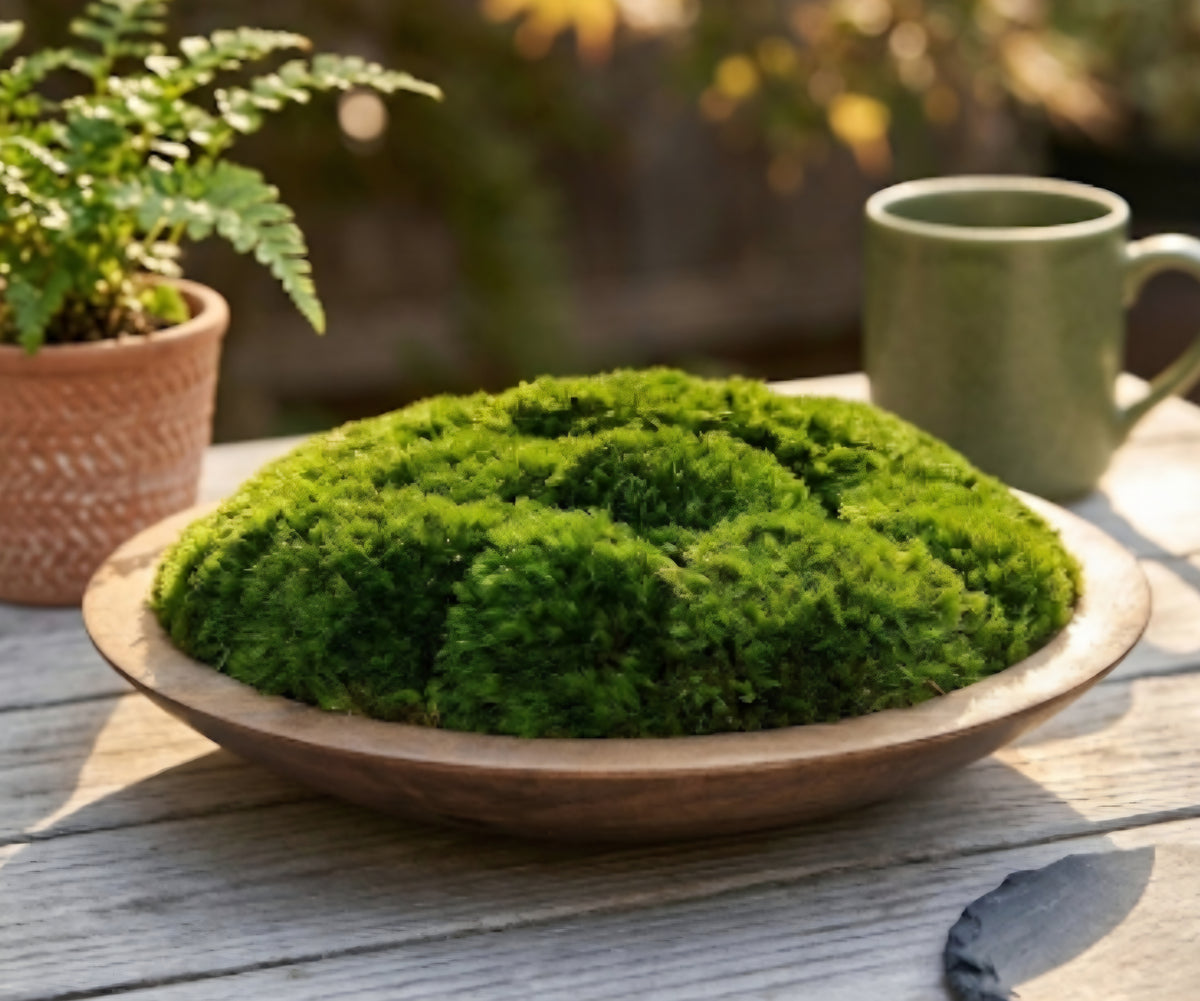Moss Centerpiece – 12 or 16 Inch Preserved Natural Greenery in Rustic Wood Bowl