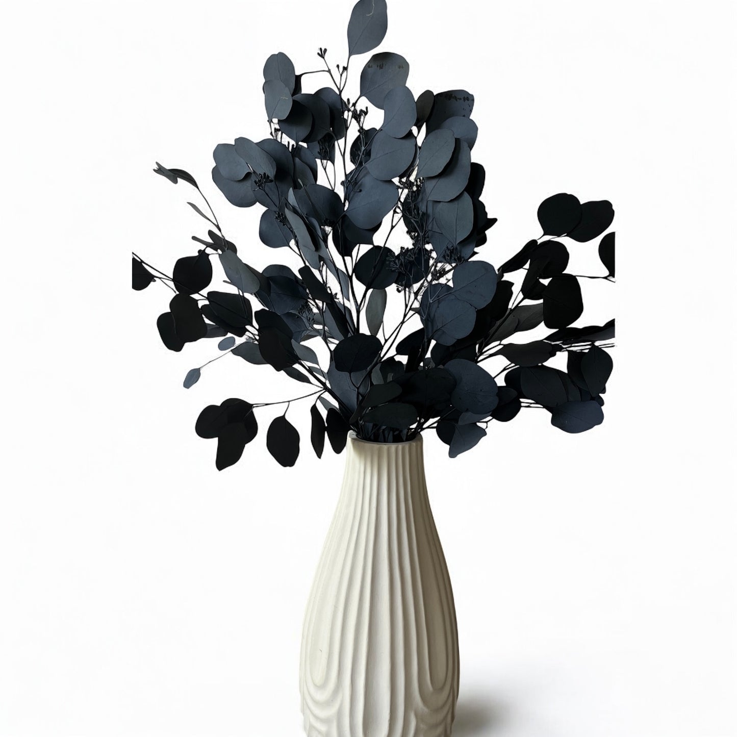 Preserved Silver Dollar Eucalyptus – Dark Green Dried Stems for Vase & Wedding Decor
