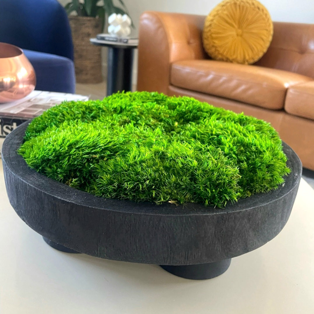 Moss Bowl — Pedestal, 12"