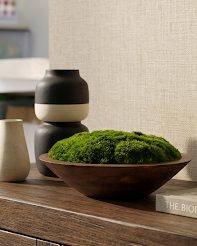 Moss Centerpiece – 12 or 16 Inch Preserved Natural Greenery in Rustic Wood Bowl