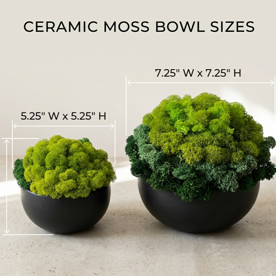 Ceramic Moss Bowl
