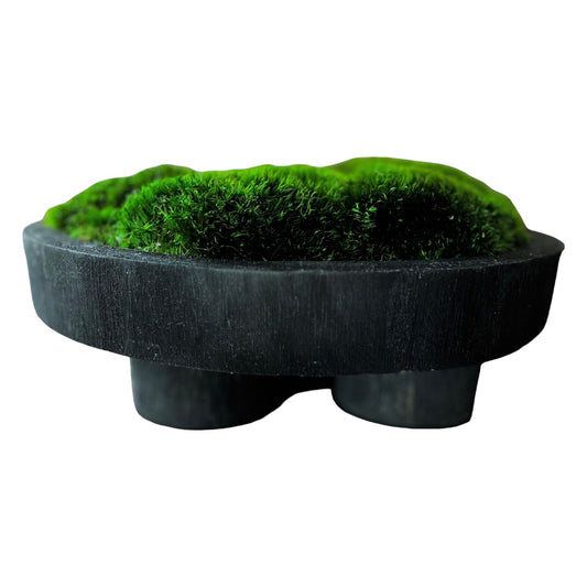 12" Round Black Pedestal Moss Bowl