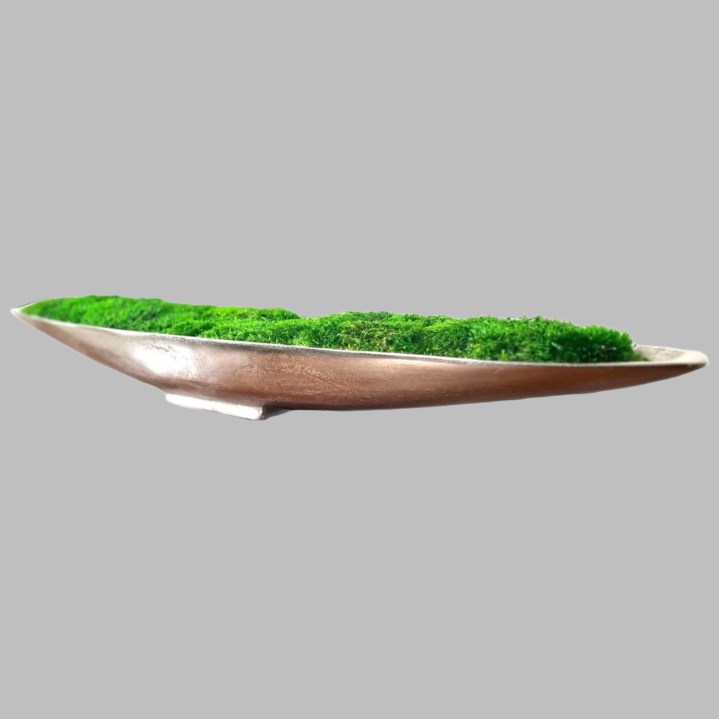 32" Preserved Moss Metal Boat Bowl