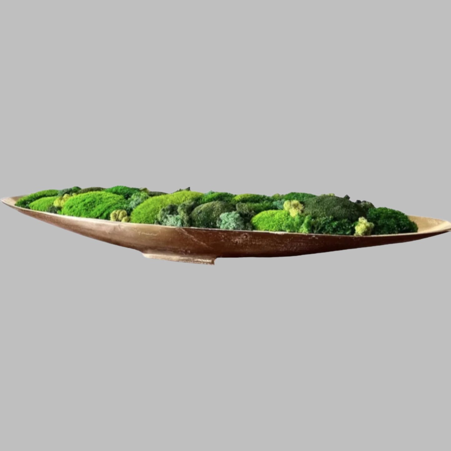 52" Extra Long Metal Boat Bowl w/ Variated Preserved moss