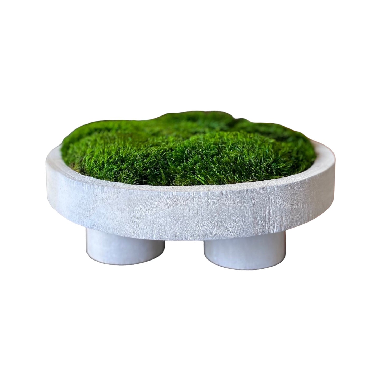 12" Round White Pedestal Moss Bowl