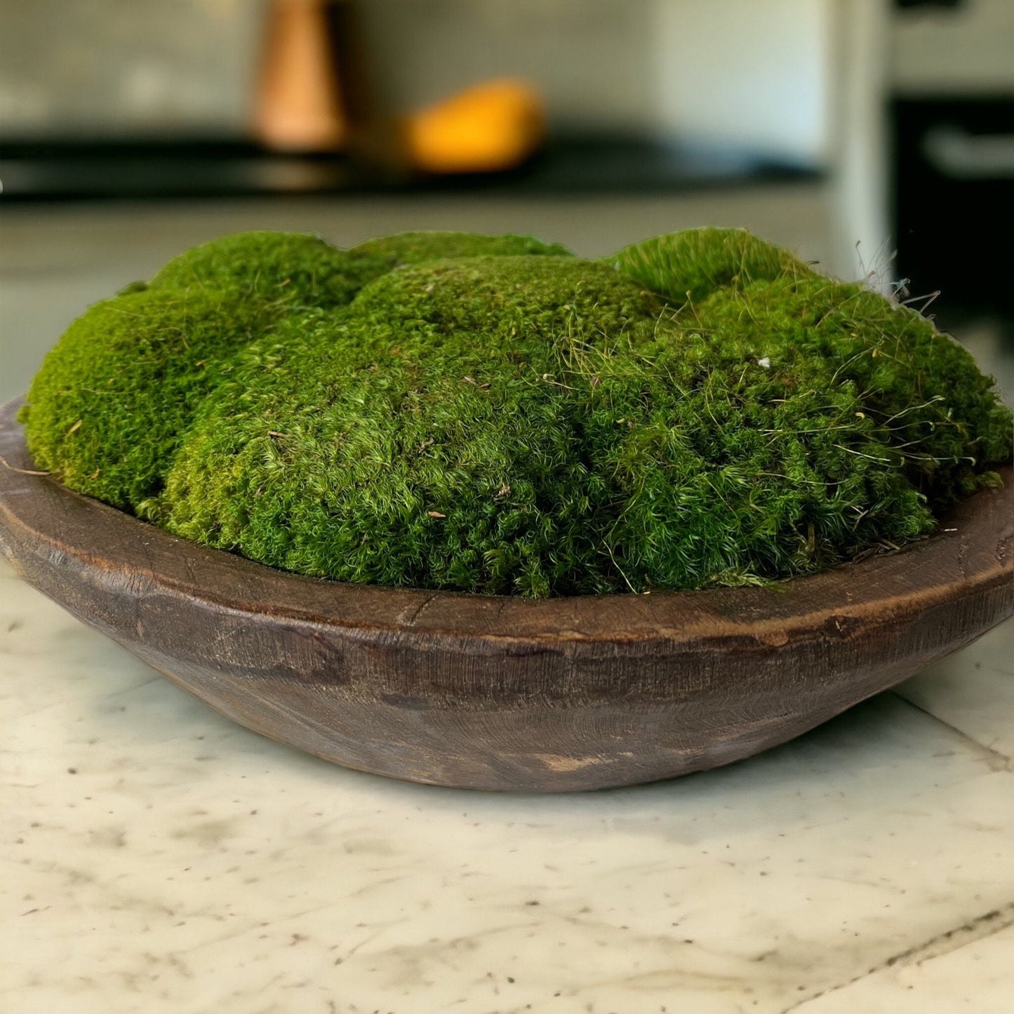 12" Round Rustic Wood Moss Bowl