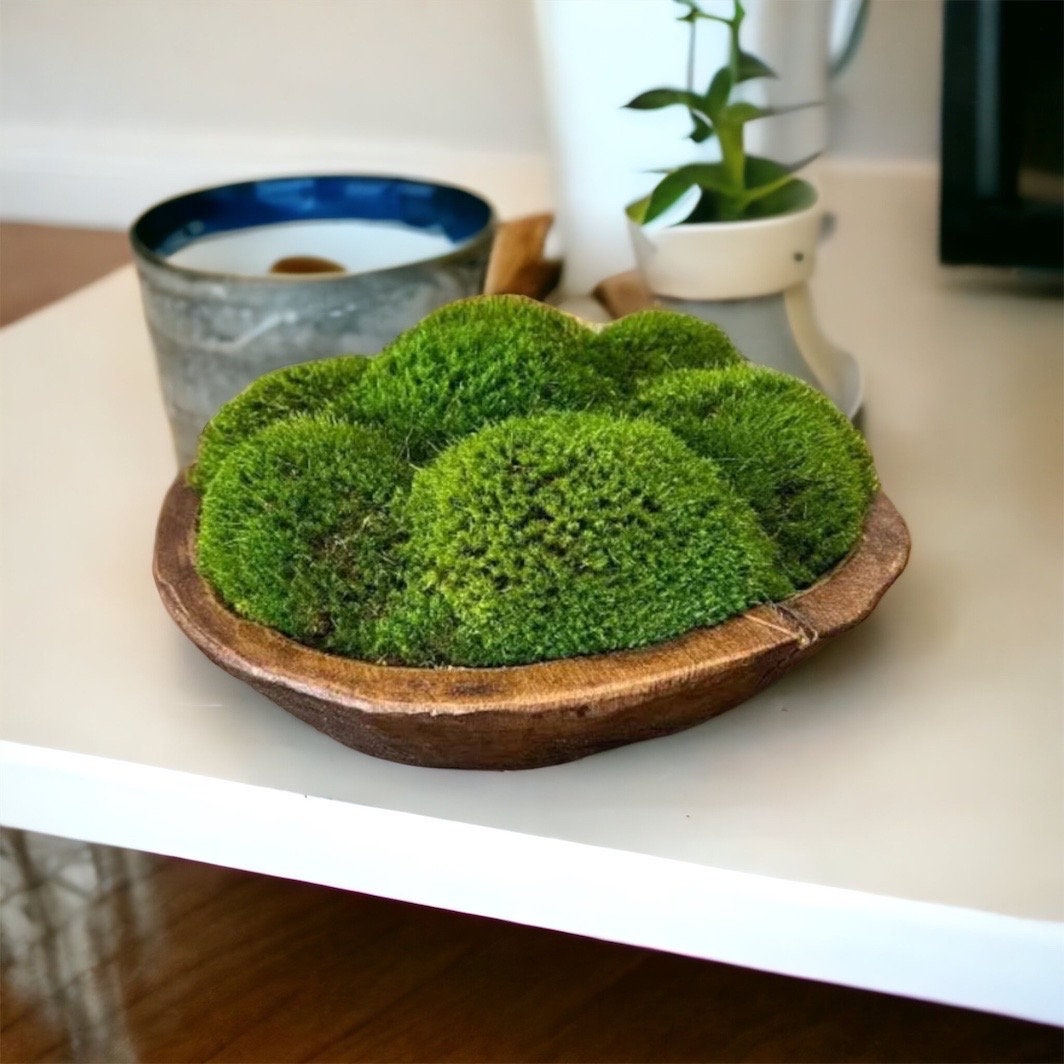 12" Round Rustic Wood Moss Bowl