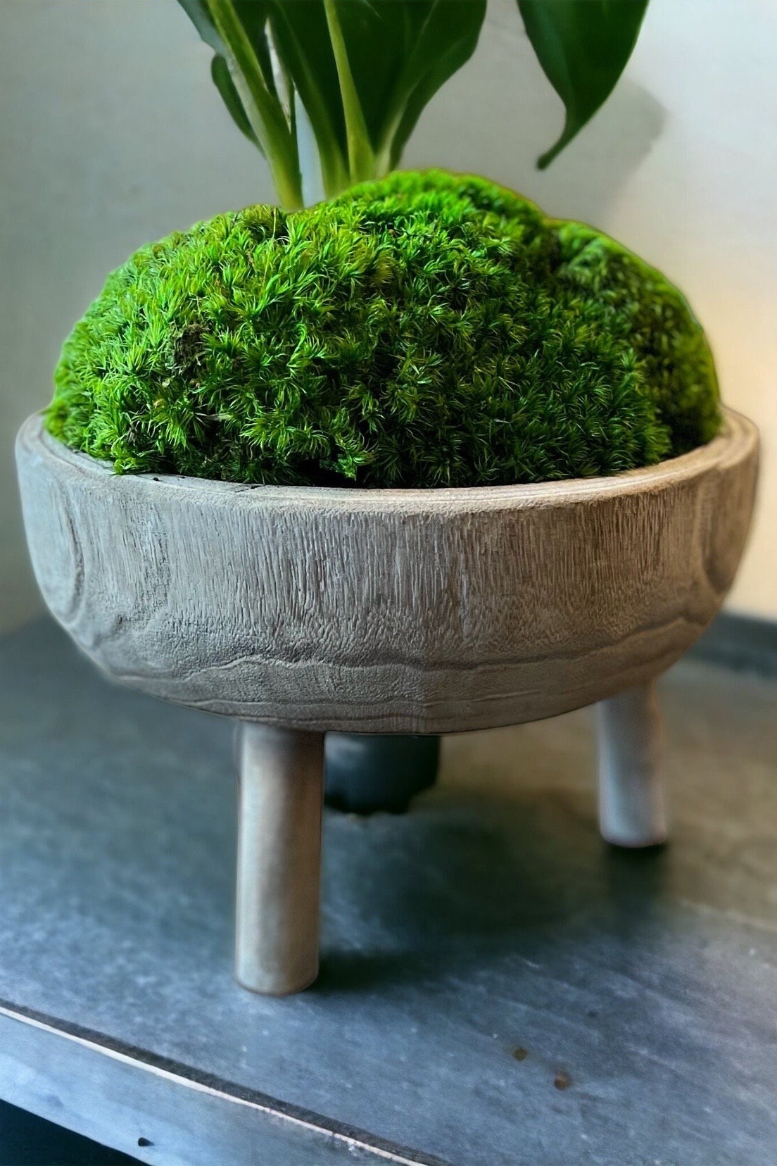 11x6" Tall Gray Pedestal Moss Bowl w/ Legs