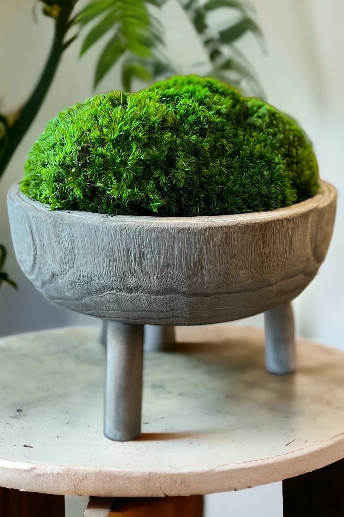 11x6" Tall Gray Pedestal Moss Bowl w/ Legs