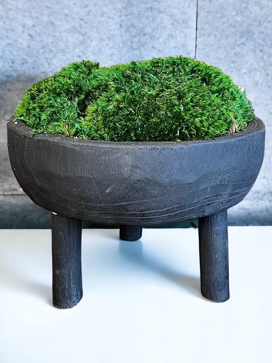 11x6" Tall Gray Pedestal Moss Bowl w/ Legs