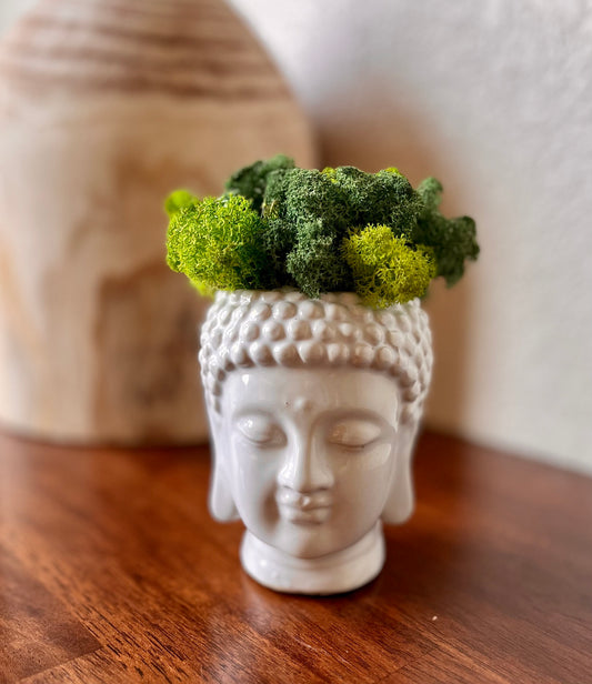 Buddhakopf-Pflanzgefäß mit Moos